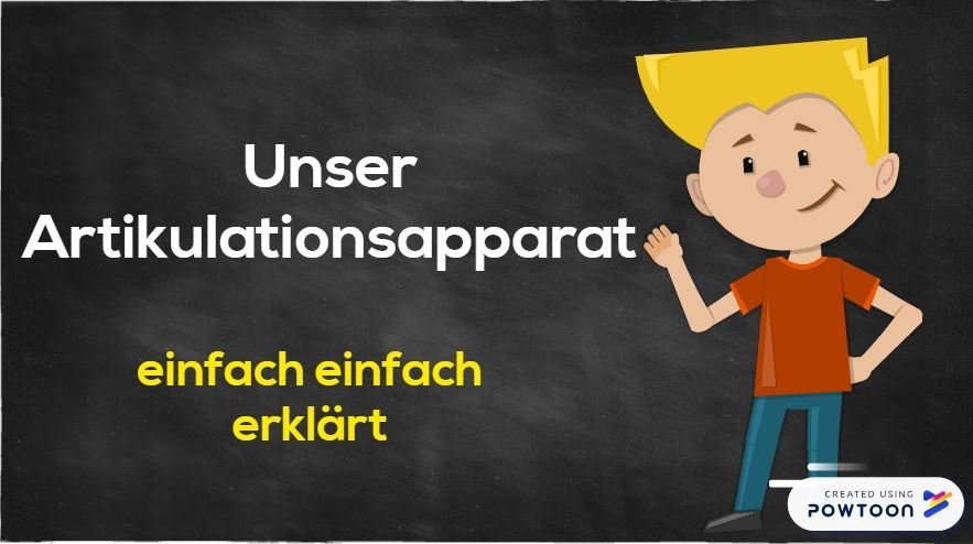 Der Vokaltrakt